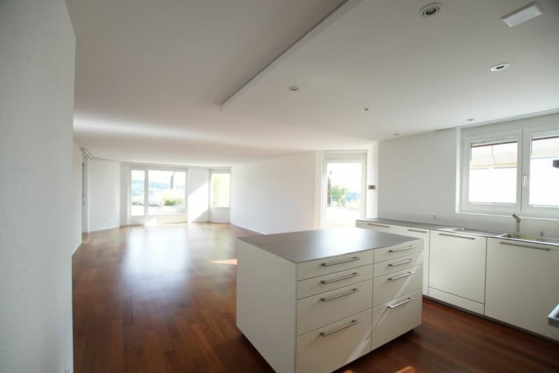 Grosszügige 4.5-Zimmer-Wohnung mit Panoramaterrasse in Brugg (20)