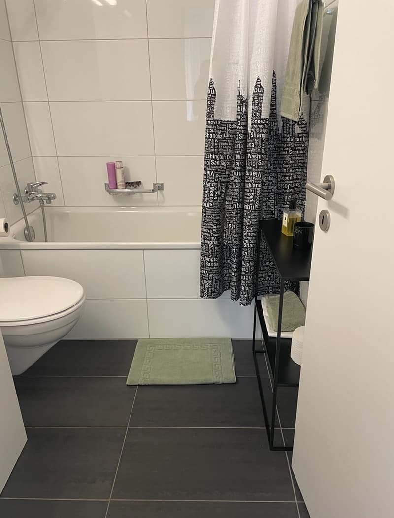 2.5 zweistöckige Dachwohnung in Bassersdorf (2)