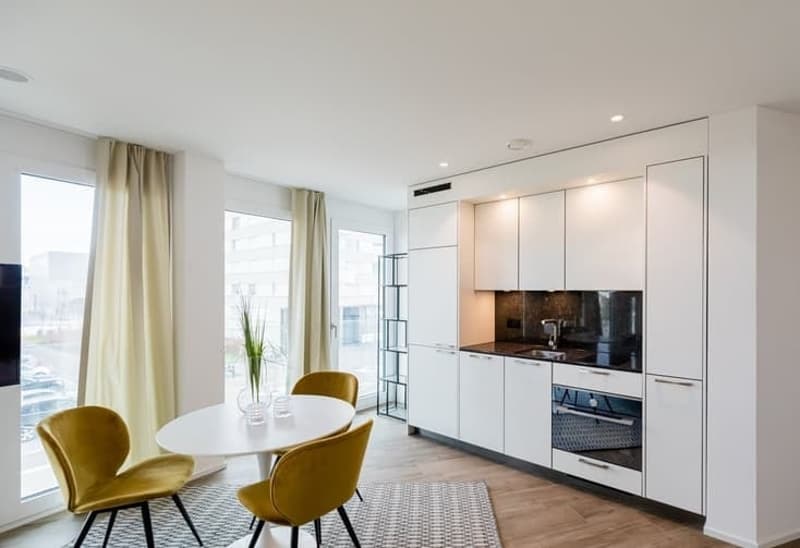 Moderne 1.5-Zimmer-Wohnung mit Balkon in Dübendorf – ab sofort verfügbar! (2)