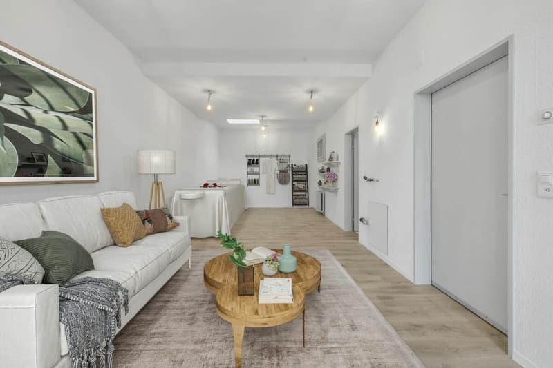 STUDIO IN EFFRETIKON: IHR NEUER ARBEITSPLATZ (5)