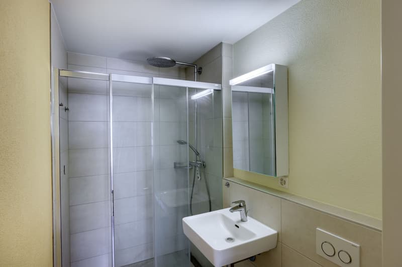 Traumhafte Familienwohnung im "Mosaik" Hinwil (5)