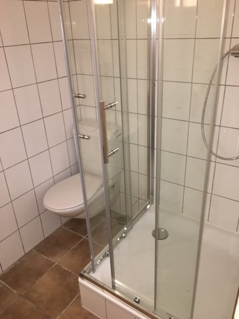 Möbliertes Zimmer zu vermieten inklusive Zimmerreinigung (9)