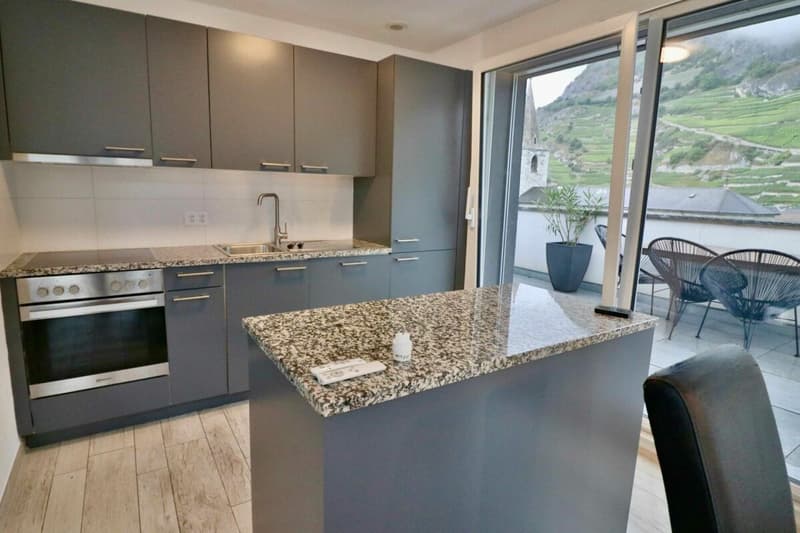 Superbe attique de 4.5 pces au centre du village (2)