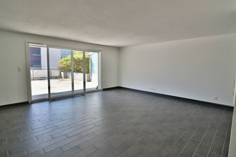 Appartement 3.5 pces avec terrasse XXL (6)