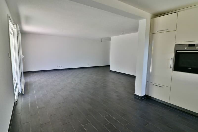 Appartement 3.5 pces avec terrasse XXL (4)