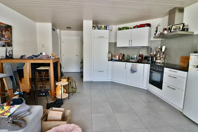 Spacieux 2.5 pièces récent, déjà loué. (2)