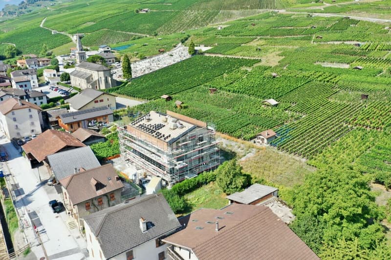 LEYTRON - LE BON ÉQUILIBRE, 3.5 PIÈCES NEUF - TERRASSE DE 50.5 m² (12)