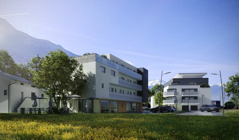 ATTIQUE 3.5 PIÈCES - L'APPARTEMENT AVEC TERRASSE XXL (8)