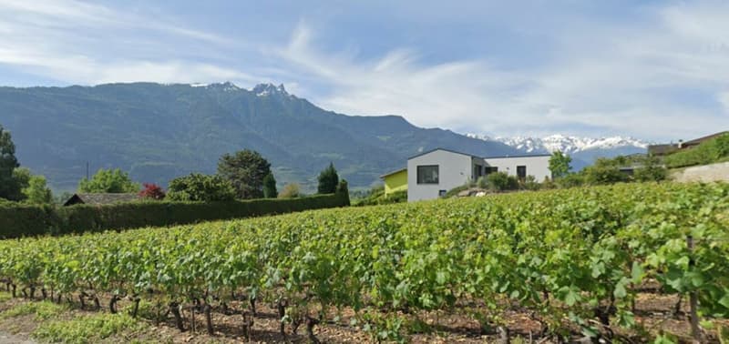 A1 - Les Vignobles de l'Arche - 4.5 pces avec jardin (lot 1 au rez) (6)