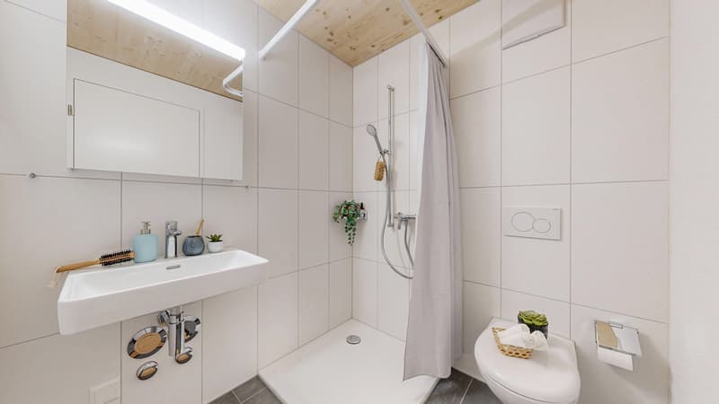 Einziehen und Wohlfühlen - Dein neues Zuhause in der Stadtsägi (4)