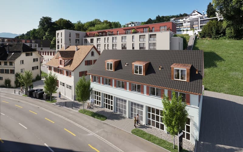 Neubau-Erstbezug: Ihr neues Zuhause in Wädenswil (4)