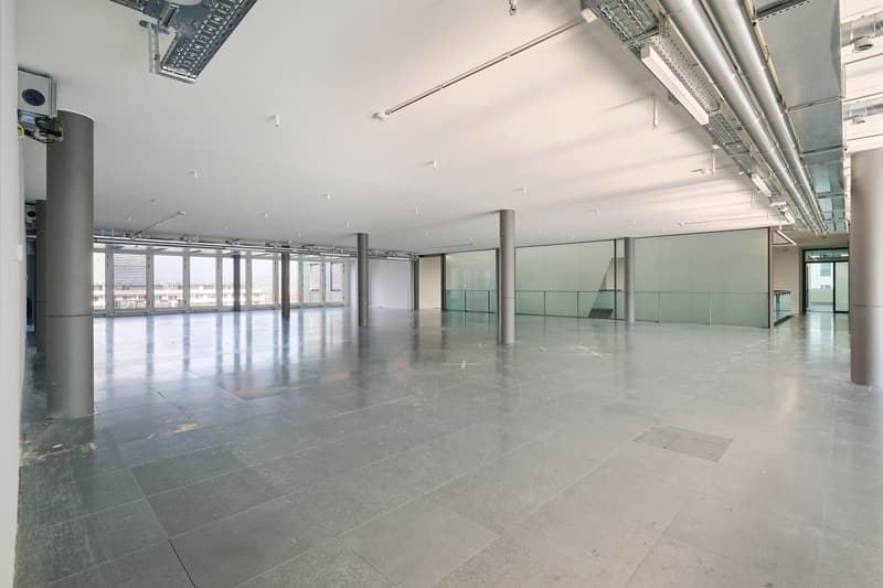 Attraktive Büroflächen ab 613 m² mit spektakulärer Terrasse, direkt am Bahnhof Basel SBB (8)