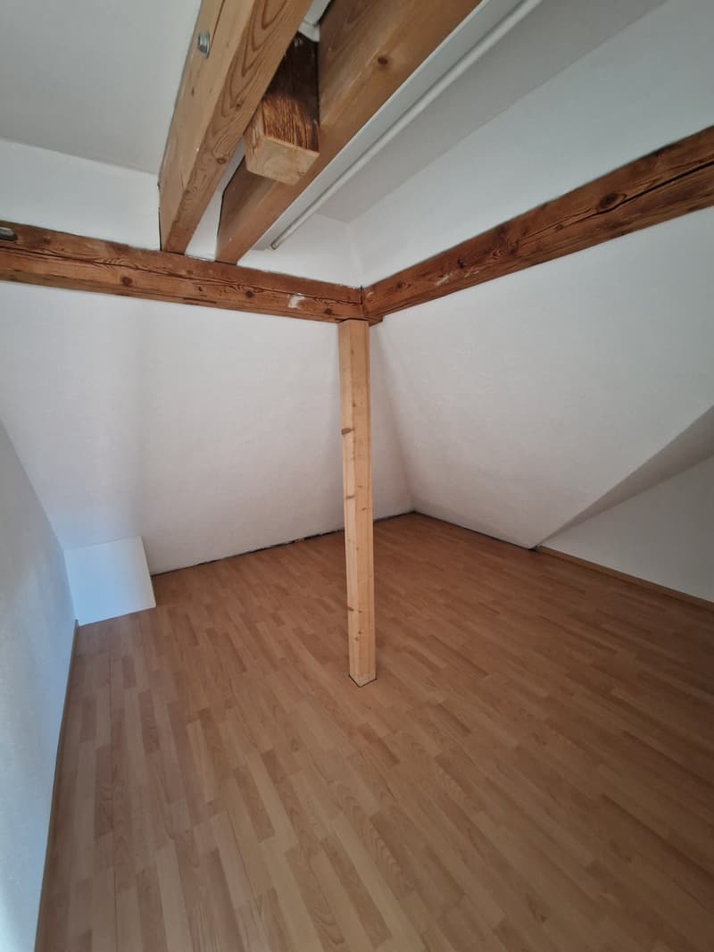 Charmante 3.5-Zimmer-Dachwohnung mit Panoramablick in Zürich-Wipkingen  / befristete bis 31.09.2027 (10)