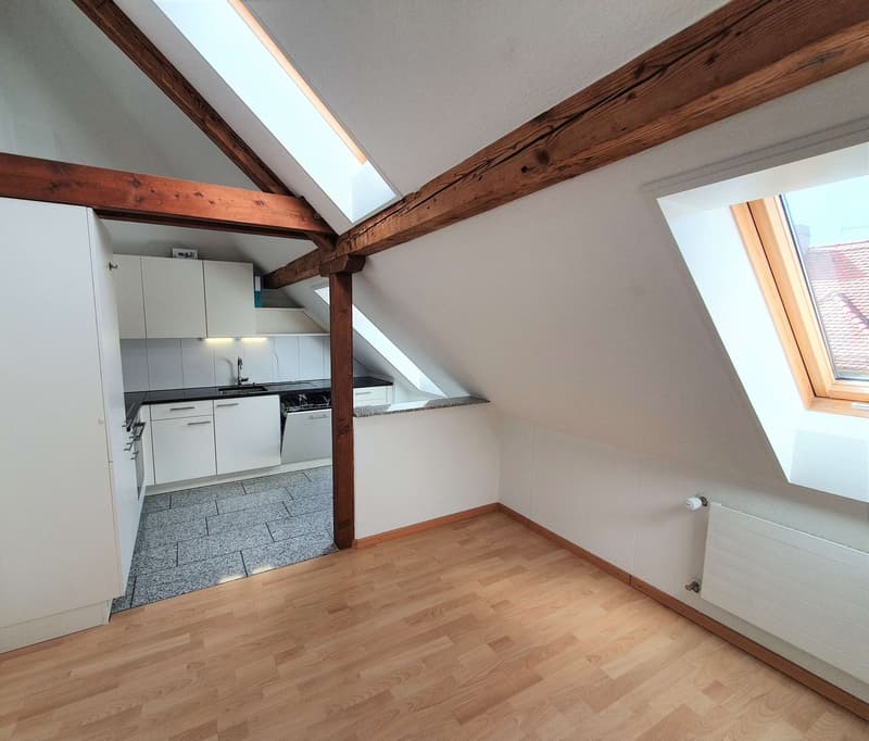 Charmante 3.5-Zimmer-Dachwohnung mit Panoramablick in Zürich-Wipkingen  / befristete bis 31.09.2027 (12)