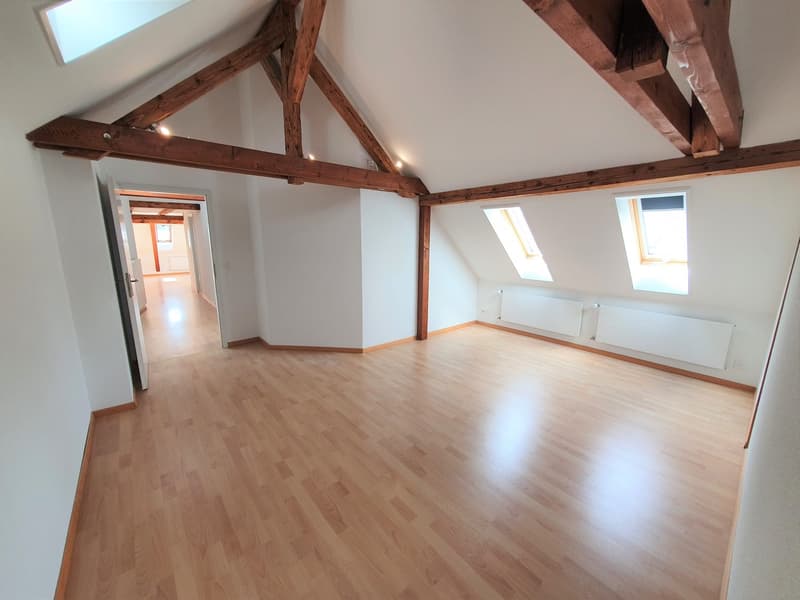 Charmante 3.5-Zimmer-Dachwohnung mit Panoramablick in Zürich-Wipkingen  / befristete bis 31.09.2027 (9)