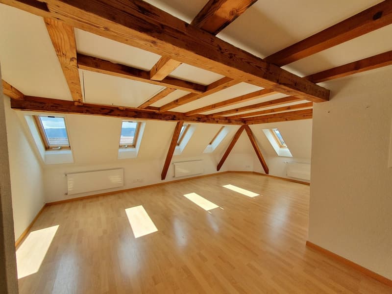 Charmante 3.5-Zimmer-Dachwohnung mit Panoramablick in Zürich-Wipkingen  / befristete bis 31.09.2027 (4)