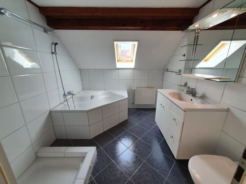 Charmante 3.5-Zimmer-Dachwohnung mit Panoramablick in Zürich-Wipkingen  / befristete bis 31.09.2027 (13)
