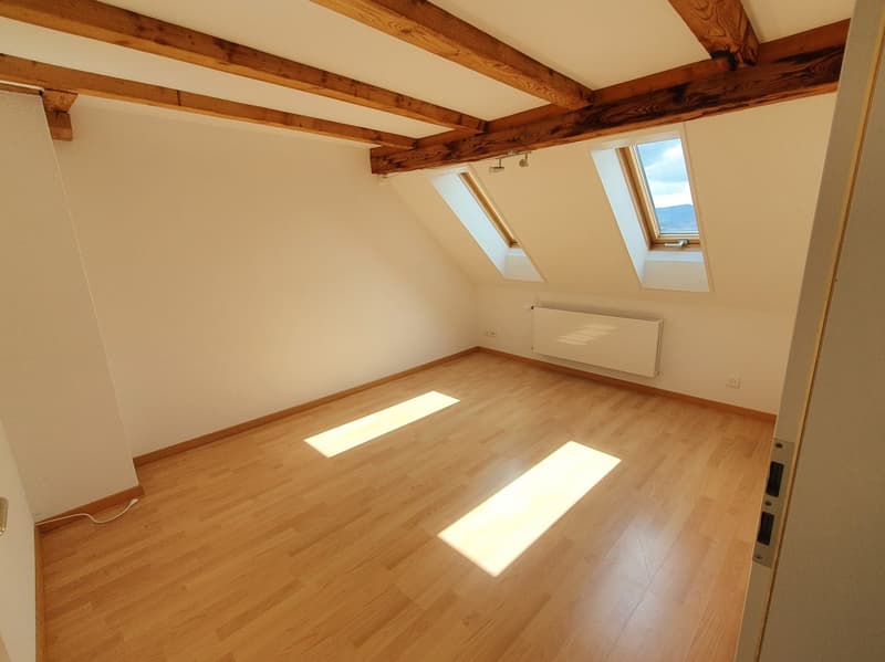 Charmante 3.5-Zimmer-Dachwohnung mit Panoramablick in Zürich-Wipkingen  / befristete bis 31.09.2027 (8)