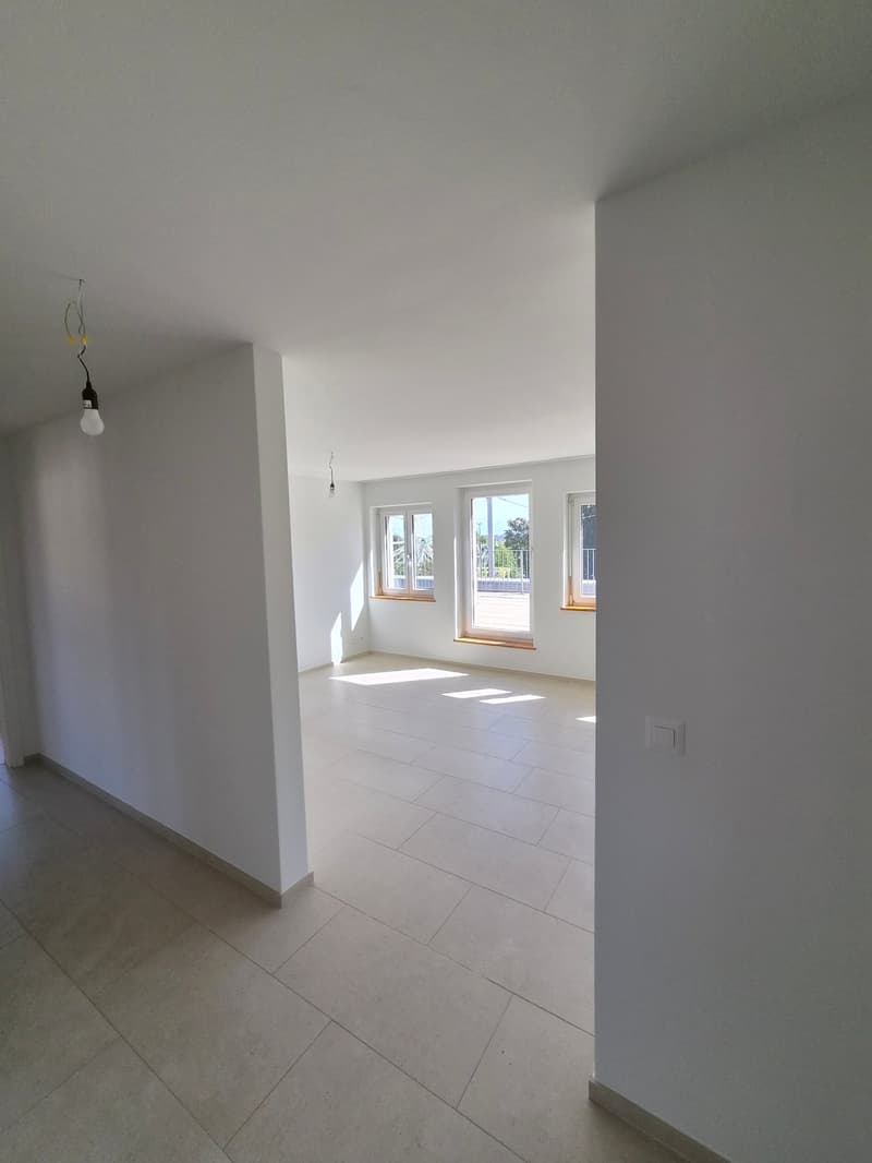 Traumhafte 3,5-Zi. Wohnung mit Dachterrasse, Zürich-Wiedikon (3)