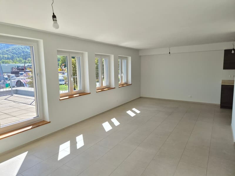 Traumhafte 3,5-Zi. Wohnung mit Dachterrasse, Zürich-Wiedikon (5)