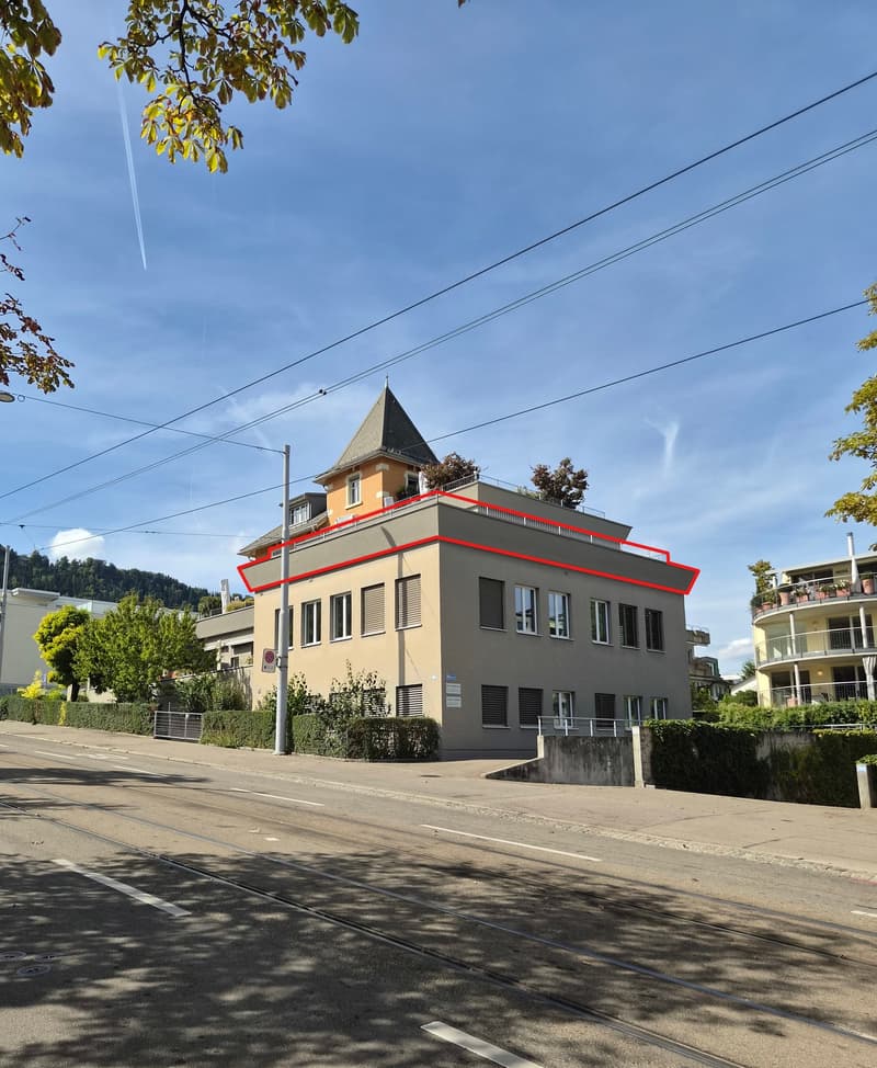 Traumhafte 3,5-Zi. Wohnung mit Dachterrasse, Zürich-Wiedikon (1)