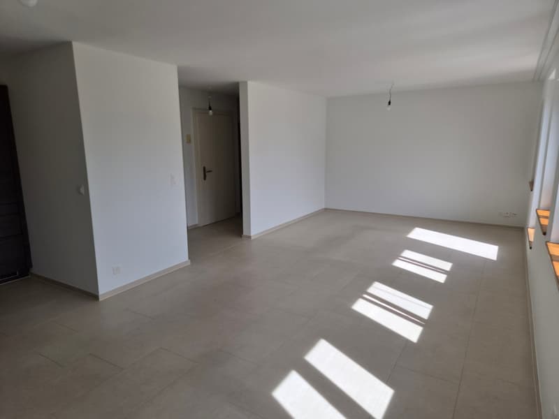 Traumhafte 3,5-Zi. Wohnung mit Dachterrasse, Zürich-Wiedikon (7)