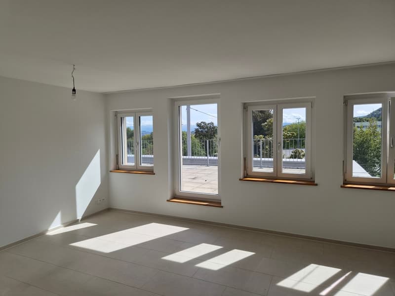 Traumhafte 3,5-Zi. Wohnung mit Dachterrasse, Zürich-Wiedikon (6)