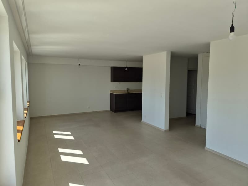 Traumhafte 3,5-Zi. Wohnung mit Dachterrasse, Zürich-Wiedikon (4)