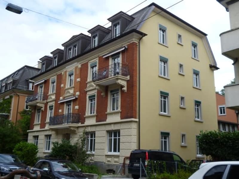 Einzigartige 3,5-Zi. Dachwohnung, Nähe Rieterpark, Zürich-Enge (1)