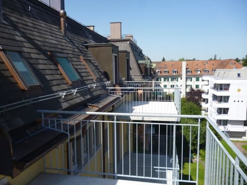 Einzigartige 3,5-Zi. Dachwohnung, Nähe Rieterpark, Zürich-Enge (3)