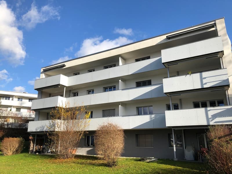 Charmante 4.5-Zimmer-Wohnung mit Balkon in Pfäffikon ZH (1)