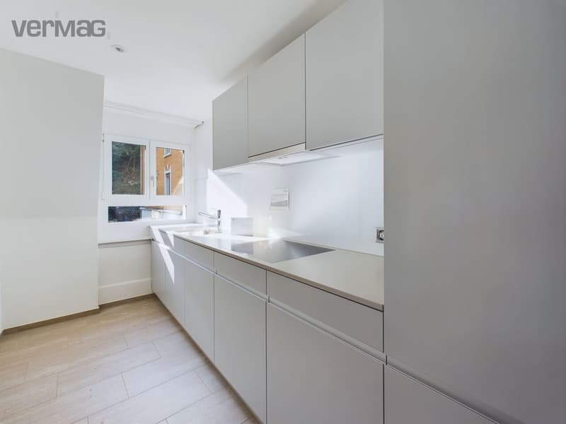 Charmante 3-Zimmer-Wohnung an der Seestrasse in Horgen (2)