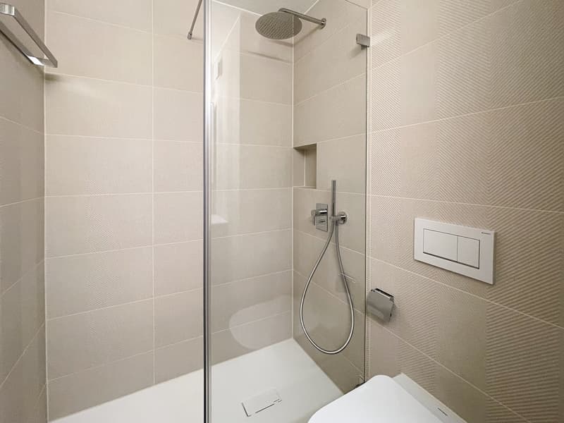 Charmante 4-Zimmer-Wohnung mit Balkon an ruhiger Lage in Horgen (9)