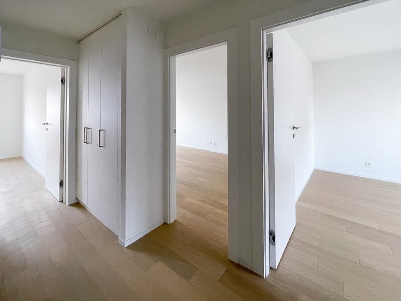 Charmante 4-Zimmer-Wohnung mit Balkon an ruhiger Lage in Horgen (7)