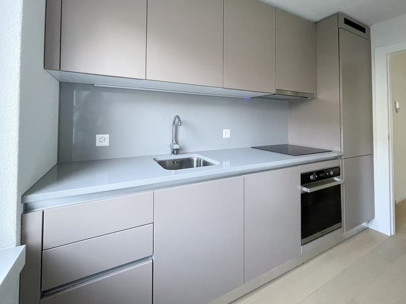 Charmante 4-Zimmer-Wohnung mit Balkon an ruhiger Lage in Horgen (2)