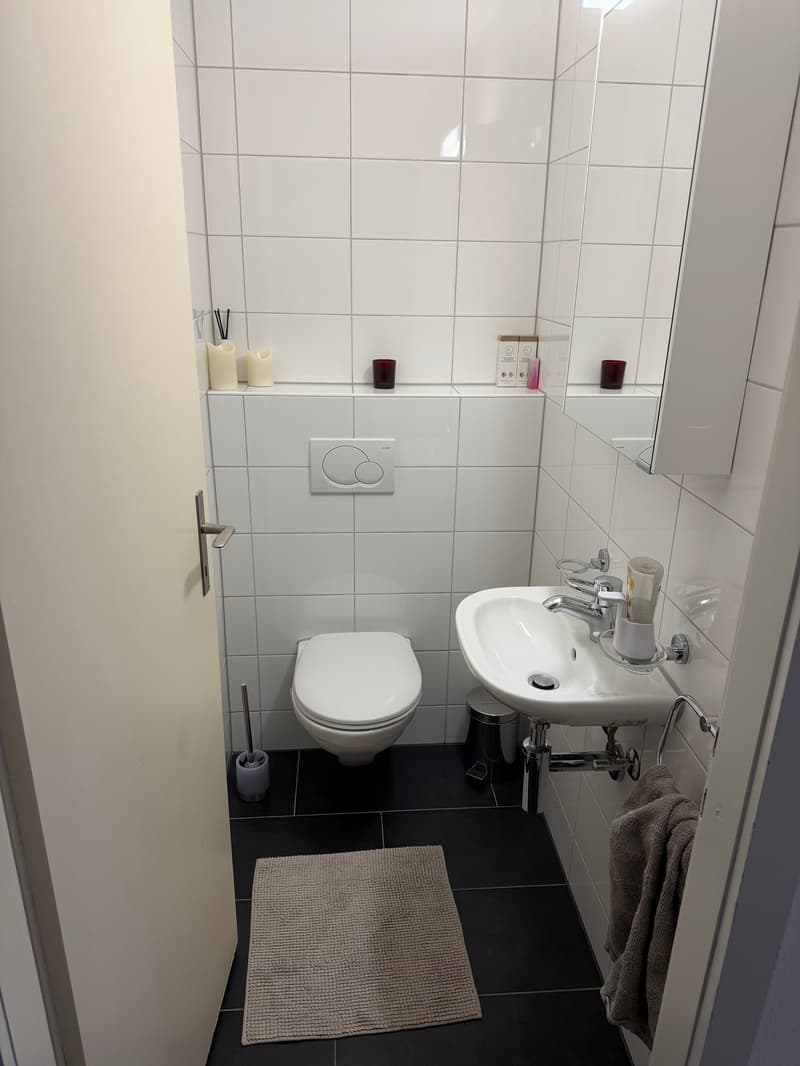Gepflegte 3.5-Zimmer-Wohnung mit Balkon in Horgen – ab 01. November 2026 verfügbar (9)
