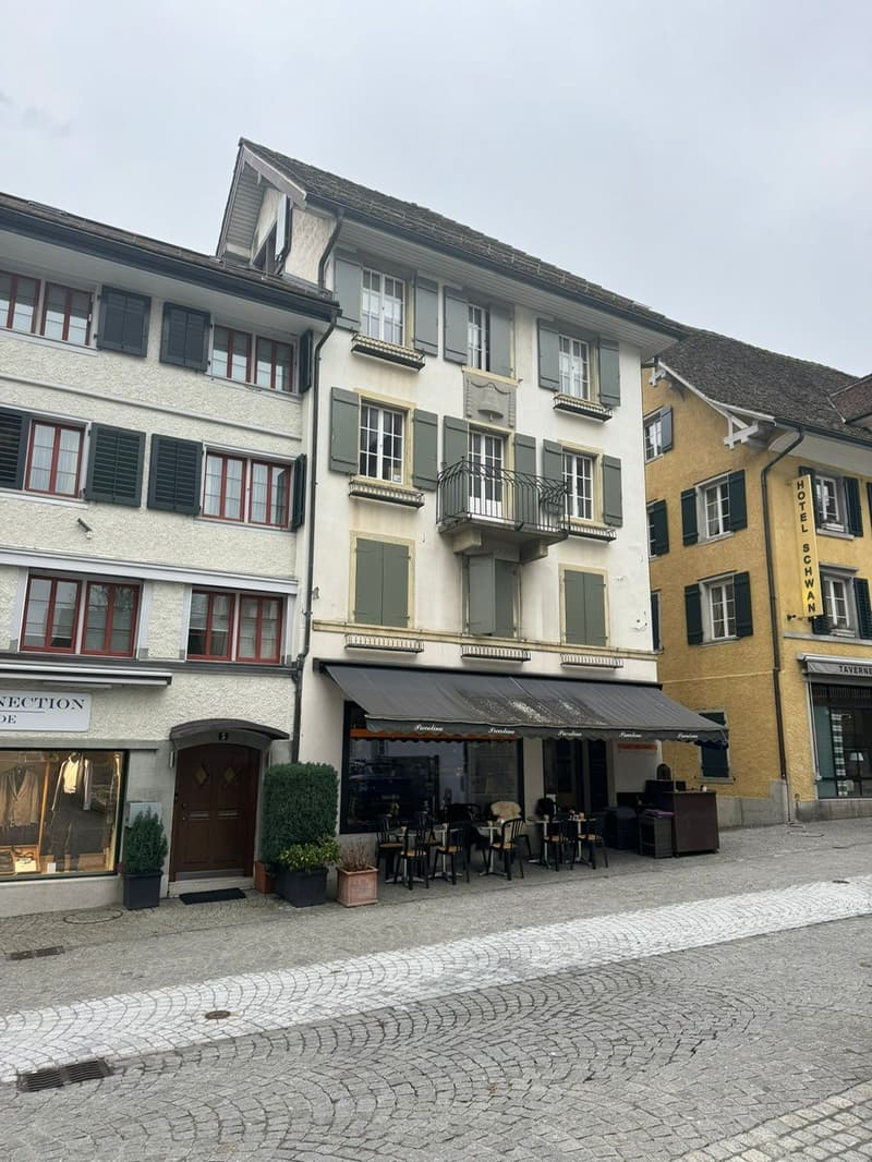 Charmante 4-Zimmer-Altbauwohnung mit Seeblick in Horgen (1)
