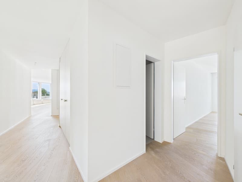 Wohnen mit Panorama-Seesicht: Grosszügige 5.5-Zimmer-Wohnung mit XXL-Terrasse (12)