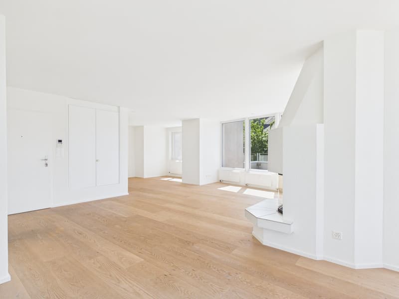 Wohnen mit Panorama-Seesicht: Grosszügige 5.5-Zimmer-Wohnung mit XXL-Terrasse (5)