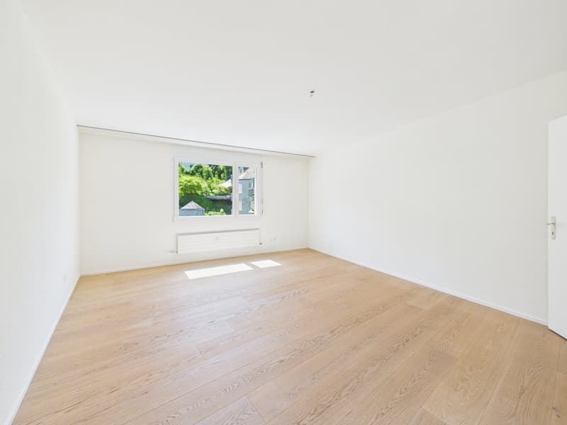 Wohnen mit Panorama-Seesicht: Grosszügige 5.5-Zimmer-Wohnung mit XXL-Terrasse (9)