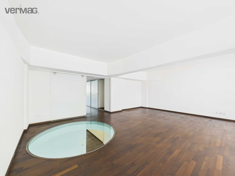 Einzigartiges 4.5-Zimmer-Loft mit viel Raum und besonderem Wohngefühl (4)
