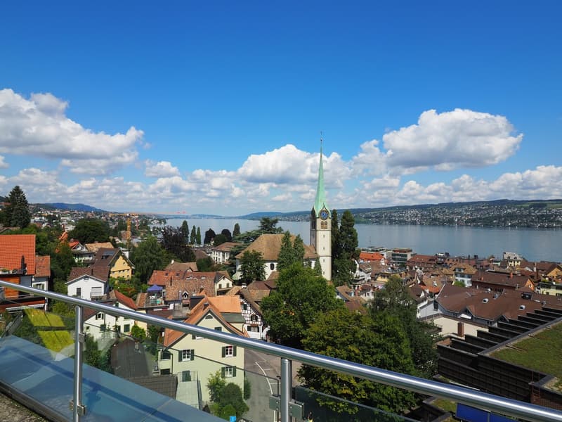 Einzigartiges 4.5-Zimmer-Loft mit viel Raum und besonderem Wohngefühl (13)