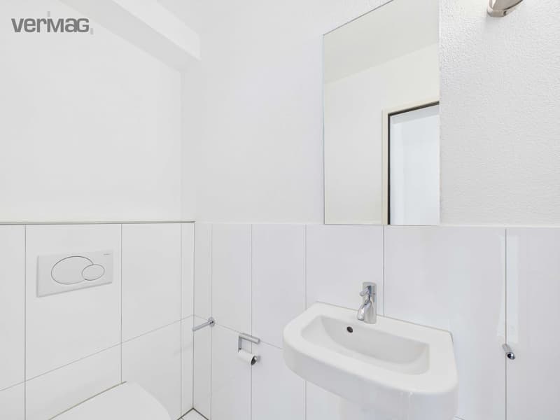 Einzigartiges 4.5-Zimmer-Loft mit viel Raum und besonderem Wohngefühl (11)
