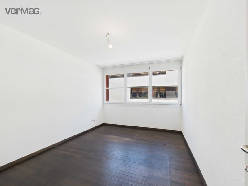 Einzigartiges 4.5-Zimmer-Loft mit viel Raum und besonderem Wohngefühl (9)