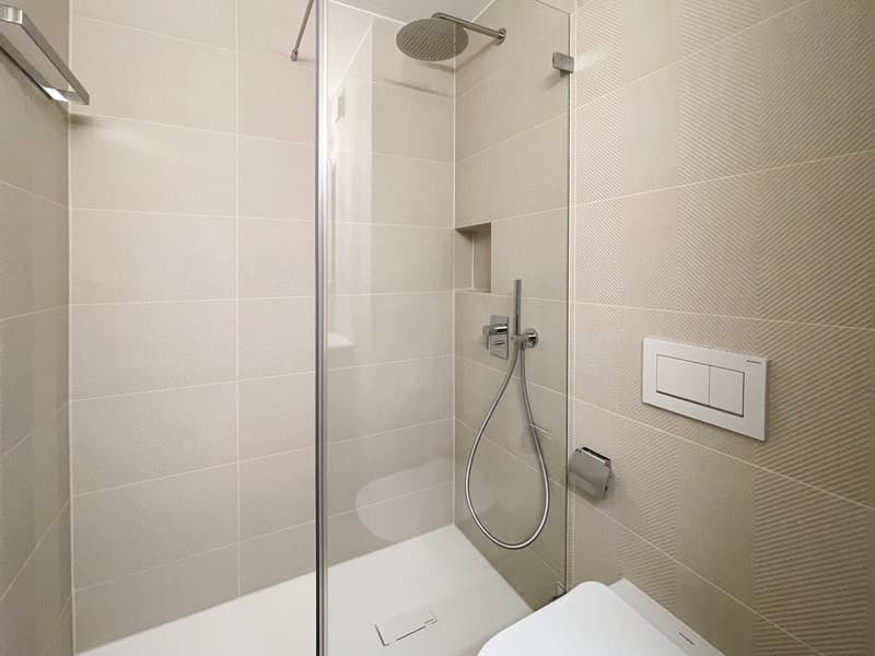 Helle 3-Zimmer-Wohnung mit Balkon und schöner Aussicht in Horgen (4)