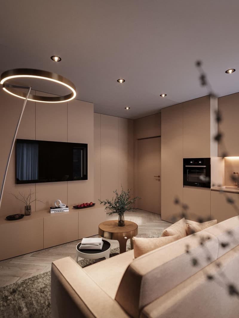 Moderne, kernsanierte und vollmöblierte 2- 2.5-Zimmer-Appartements in Altstetten. (3)