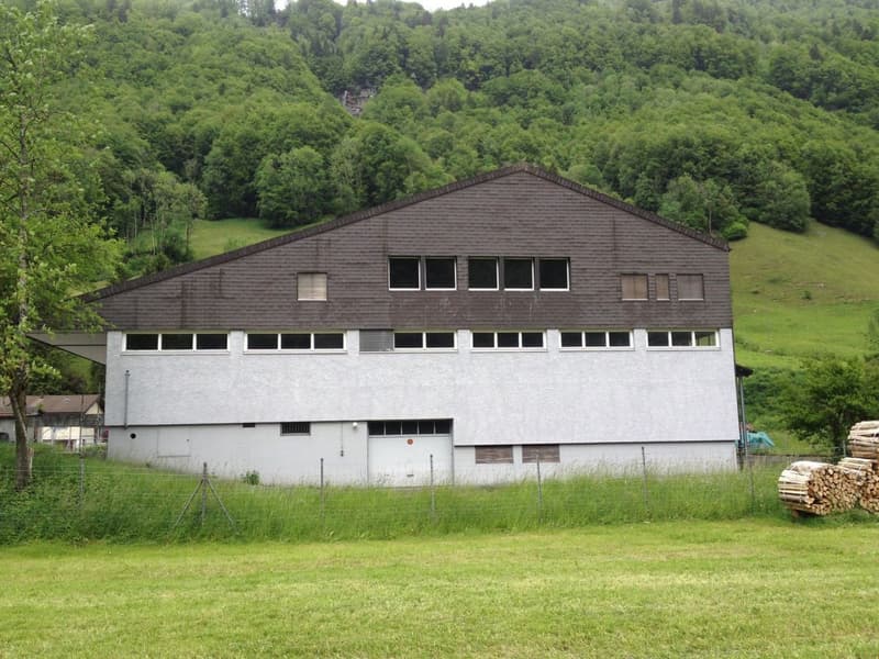Gewerberäume, Lagerflächen und Parkplätze zu vermieten (3)