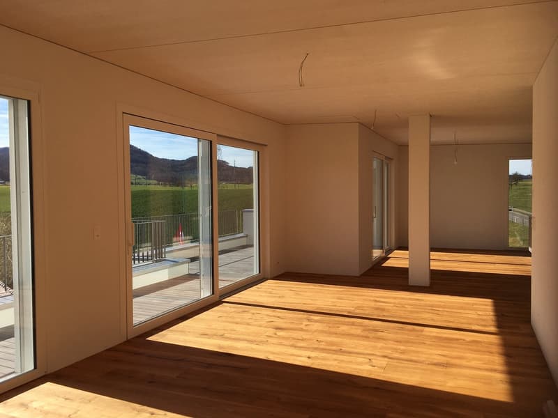 Exklusive 7-Zimmer-Maisonette-Dachwohnung mit grosser Terrasse & Panoramablick (4)