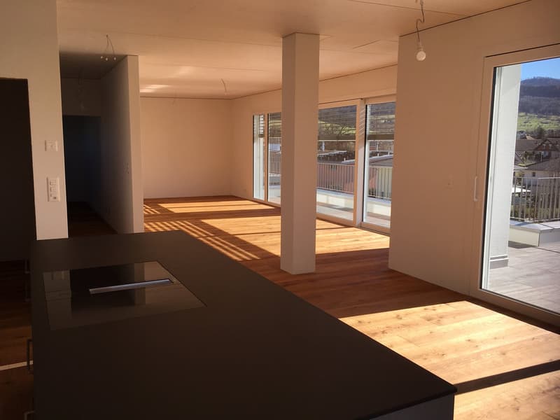 Exklusive 7-Zimmer-Maisonette-Dachwohnung mit grosser Terrasse & Panoramablick (1)