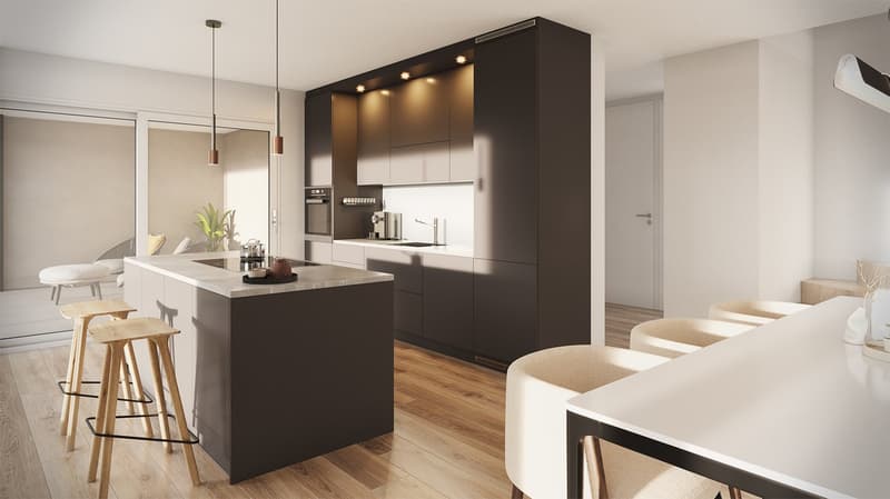 Neubau 5.5-ZI-EFH mit Attika-Geschoss / Reinach AG - Sonnenlage und Weitblick (8)